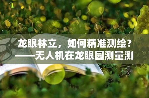 龙眼林立，如何精准测绘？——无人机在龙眼园测量测绘中的应用探索