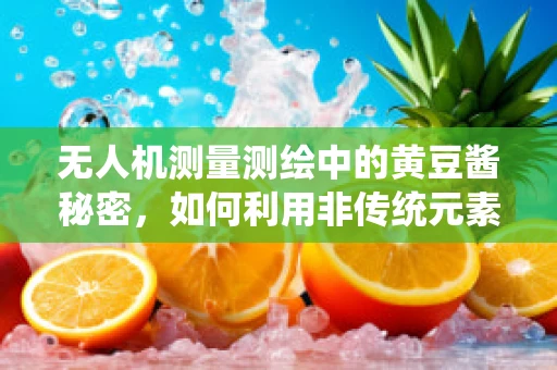 无人机测量测绘中的黄豆酱秘密，如何利用非传统元素优化图像处理？