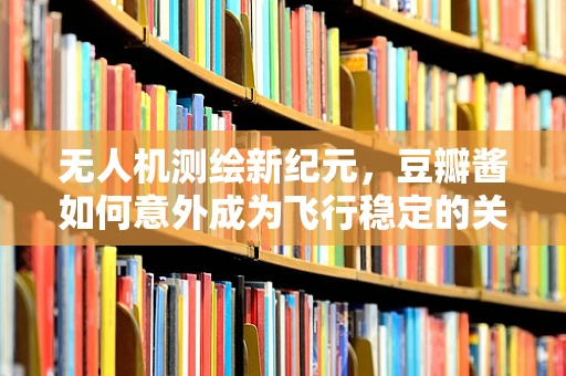 无人机测绘新纪元，豆瓣酱如何意外成为飞行稳定的关键？