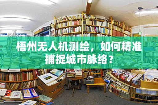 梧州无人机测绘，如何精准捕捉城市脉络？