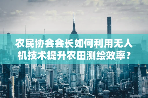 农民协会会长如何利用无人机技术提升农田测绘效率？