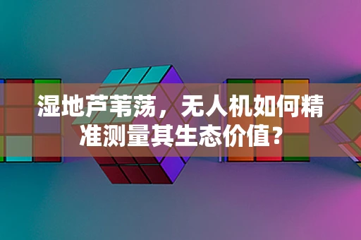 湿地芦苇荡，无人机如何精准测量其生态价值？