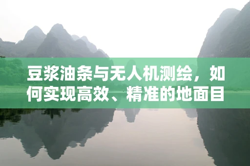 豆浆油条与无人机测绘，如何实现高效、精准的地面目标识别？