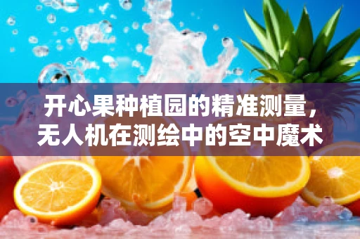 开心果种植园的精准测量，无人机在测绘中的空中魔术