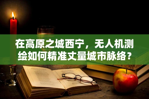 在高原之城西宁，无人机测绘如何精准丈量城市脉络？