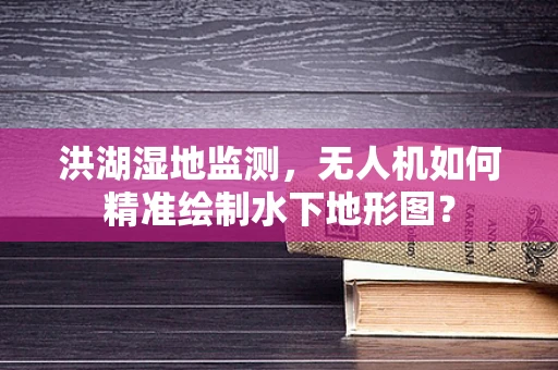 洪湖湿地监测，无人机如何精准绘制水下地形图？