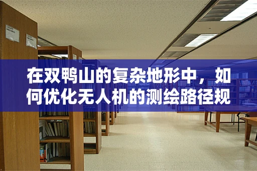 在双鸭山的复杂地形中，如何优化无人机的测绘路径规划？