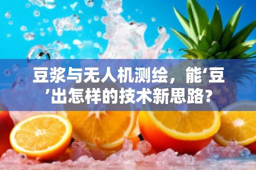 豆浆与无人机测绘，能‘豆’出怎样的技术新思路？