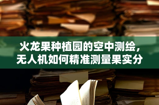 火龙果种植园的空中测绘，无人机如何精准测量果实分布？