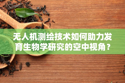 无人机测绘技术如何助力发育生物学研究的空中视角？