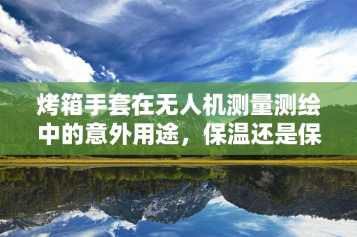 烤箱手套在无人机测量测绘中的意外用途，保温还是保护？