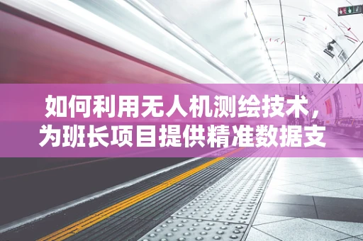 如何利用无人机测绘技术，为班长项目提供精准数据支持？