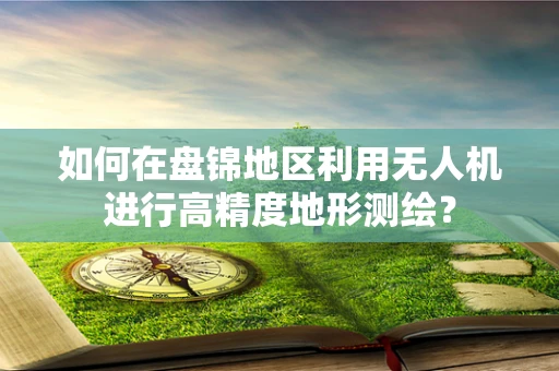 如何在盘锦地区利用无人机进行高精度地形测绘？