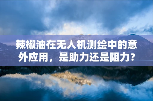 辣椒油在无人机测绘中的意外应用，是助力还是阻力？