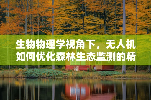 生物物理学视角下，无人机如何优化森林生态监测的精准度？