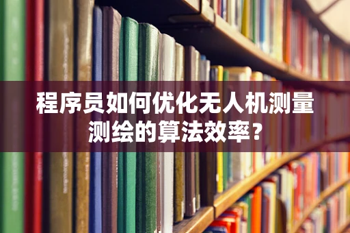 程序员如何优化无人机测量测绘的算法效率？