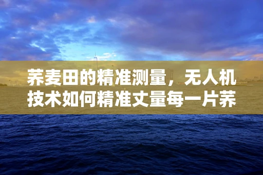 荞麦田的精准测量，无人机技术如何精准丈量每一片荞麦？