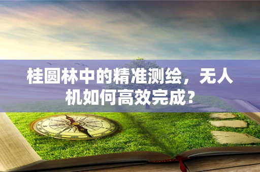 桂圆林中的精准测绘，无人机如何高效完成？