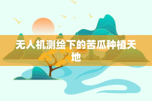 无人机测绘下的苦瓜种植天地