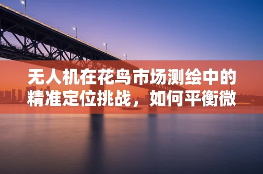 无人机在花鸟市场测绘中的精准定位挑战，如何平衡微小物体与大范围区域的测量？