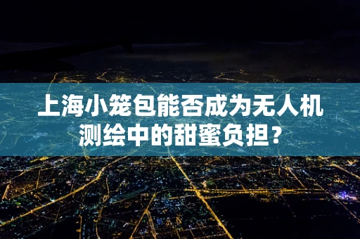 上海小笼包能否成为无人机测绘中的甜蜜负担？