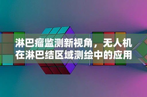 淋巴瘤监测新视角，无人机在淋巴结区域测绘中的应用潜力