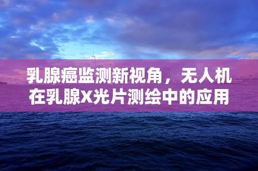 乳腺癌监测新视角，无人机在乳腺X光片测绘中的应用潜力