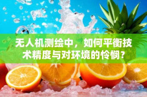 无人机测绘中，如何平衡技术精度与对环境的怜悯？