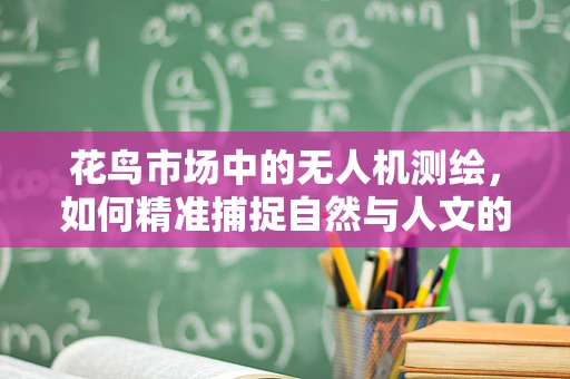 花鸟市场中的无人机测绘，如何精准捕捉自然与人文的和谐之美？