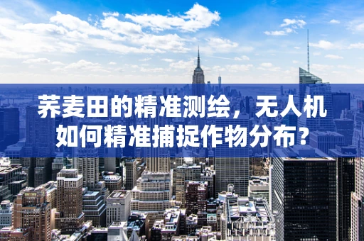 荞麦田的精准测绘，无人机如何精准捕捉作物分布？