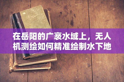 在岳阳的广袤水域上，无人机测绘如何精准绘制水下地形图？